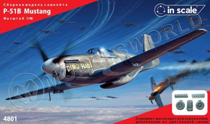 Пластиковая модель 1/48 P-51B Mustang