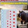 Декаль опознавательные знаки ВВС России (образца 2010 года). Масштаб 1:48