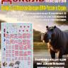 Декаль С_ухо_й С_у-33 МА ВМФ России в Сирии. Масштаб 1:48