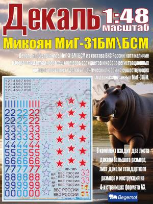 Декаль М_икоя_н М_иГ-31БМ\БСМ. Масштаб 1:48