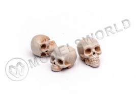 Черепа человеческие, размер M, 10 шт. Масштаб 1:32