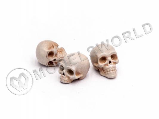 Черепа человеческие, размер M, 10 шт. Масштаб 1:32